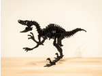 Vélociraptor