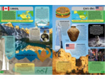 LONELY PLANET JUNIOR - VOYAGE AUTOUR DU MONDE - NOUVELLE EDITION