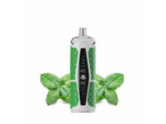 Puff Chicha - Spearmint - 25K Starbuzz