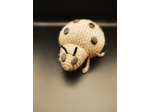 Coccinelle