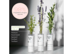 Emulsion Pure Lotion Purifiante Yonka 50ml - Purifie, Assainit et Élimine les Traces de l'Acné