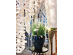 Luminaire coquillages xxl