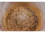 Sel de Guérande aux herbes aromatiques