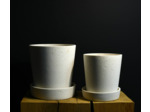 Pots blancs avec soucoupe