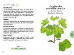LE PETIT GUIDE DES FLEURS SAUVAGES