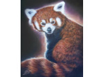 Panda roux