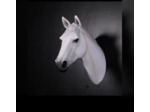 Trophée Tête De Cheval En Résine