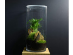 TERRARIUM NYU