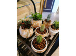 Cache-pot à succulente - haut