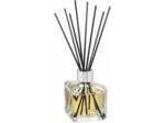 Parfum Berger 6002 Bouquet Parfum Cube Orange de Cannelle Transparent