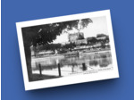 Carte postale