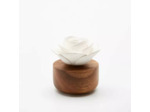 Diffuseur Rose