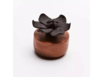 Diffuseur fleur de jasmin