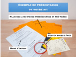 Paresseux sur sa Branche