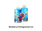 Puff 28k - JNR Falcon X + - Blueberry Pomegranate Ice