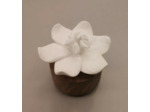 Diffuseur fleur de jasmin