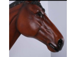 Trophée Tête De Cheval En Résine