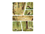 PAR LA FORCE DES ARBRES