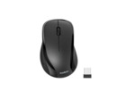 BELKIN Pack Clavier AZERTY + Souris (Sans Fil)