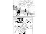 FAIRY TAIL T02