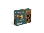 Crâne Puzzle 3D