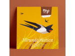 Hirondelle Rustique