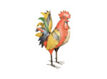 Coq queue levée
