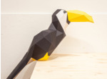 Toucan