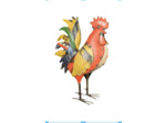 Coq queue levée