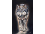 Le loup