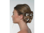 Épingles à cheveux BB-230