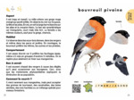 LE PETIT GUIDE DES OISEAUX - 70 ESPECES A DECOUVRIR