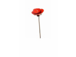Coquelicot