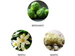 Eau de Parfum Naturelle IRIDA CYCLADES - FiiLiT Parfum du Voyage