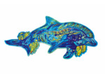 Le Dauphin Joueur