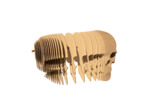 Crâne Puzzle 3D