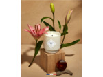 MY JOLIE CANDLE - Bougie parfumée Ambre Doré Classique 180g 36h