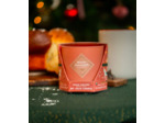 Bougie My Jolie Candle Brioche Gourmande