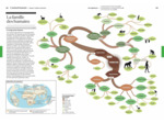 L'ATLAS HISTORIQUE DE LA TERRE