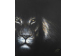 Lion noir