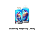 Puff 28k - JNR Falcon X + - Blueberry Raspberry Cherry