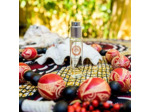 Eau de Parfum Naturelle WAKA MADAGASCAR 11 mL - FiiLiT Parfum du Voyage - Mixte - Spray Rechargeable - Ravintsara Gingembre Floral Chypré