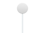 APPLE Câble Watch USB-C Charge Rapide (1 m)
