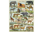Cavallini, Puzzle Vintage 1000 pièces - Animaux du Monde - (PZL/ANI)