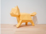 CHAT - Couleur ABRICOT