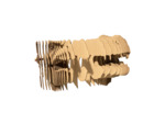 T-REX Puzzle 3D