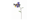 Abeille sur iris Parme