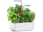 Véritable® Smart (Arctic White Version) - Potager d’Intérieur Fabriqué en France – Jardin Autonome Intelligent avec sa Technologie Adapt’ Light - Livré avec 4 Lingots® SMART Arctic White