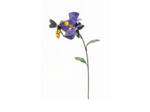 Abeille sur iris Parme