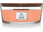 WoodWick Ellipse Nectar de manuka